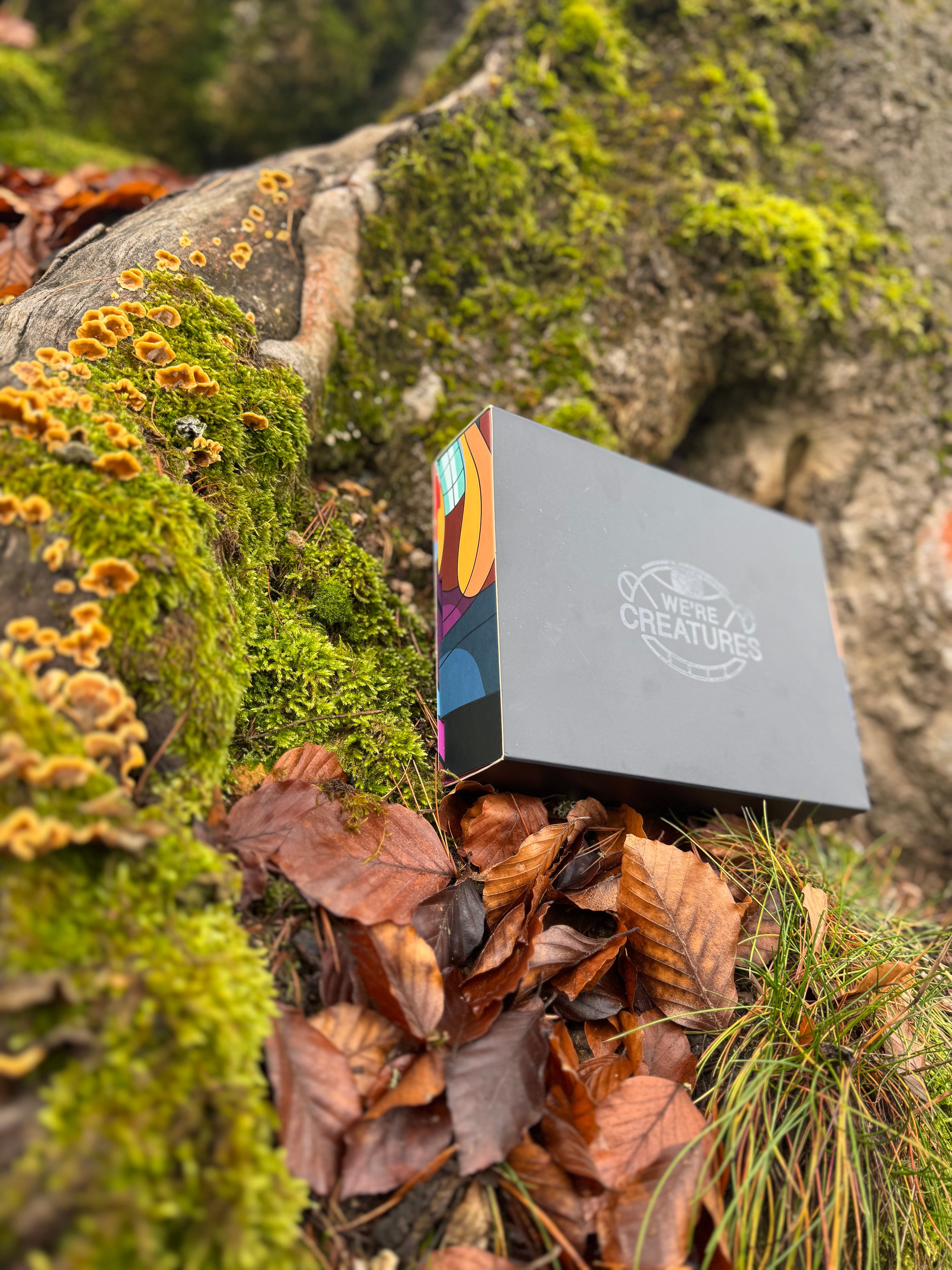 Triple Gift Set (90ml)